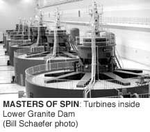 Masters of Spin: Turbines inside Lower Granite Dam (Bill Schaefer photo)