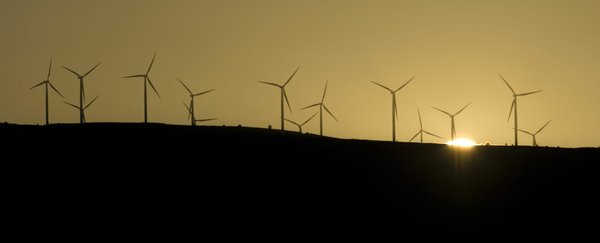 (Steven Lane) Wind turbines rise on the crest of the Columbia Hills near Bickleton. Turbines extend in a nearly continuous line from Maryhill Museum to the hamlet of Roosevelt, a distance of 32 miles.