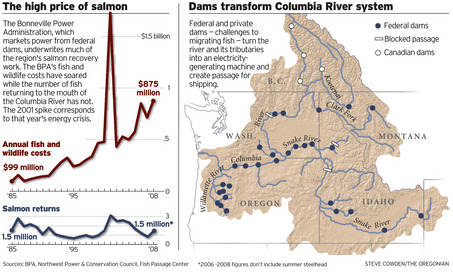 The High Price of Salmon graphs compare cost of salmon recovery and run size at Bonneville Dam.