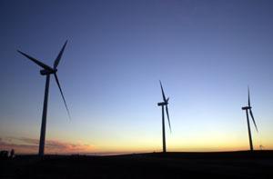 (Sherry LaVars) Giant wind turbines in Birds Landing provide an alternate and supplemental energy source.