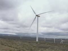 Wind turbines in Kittitas county